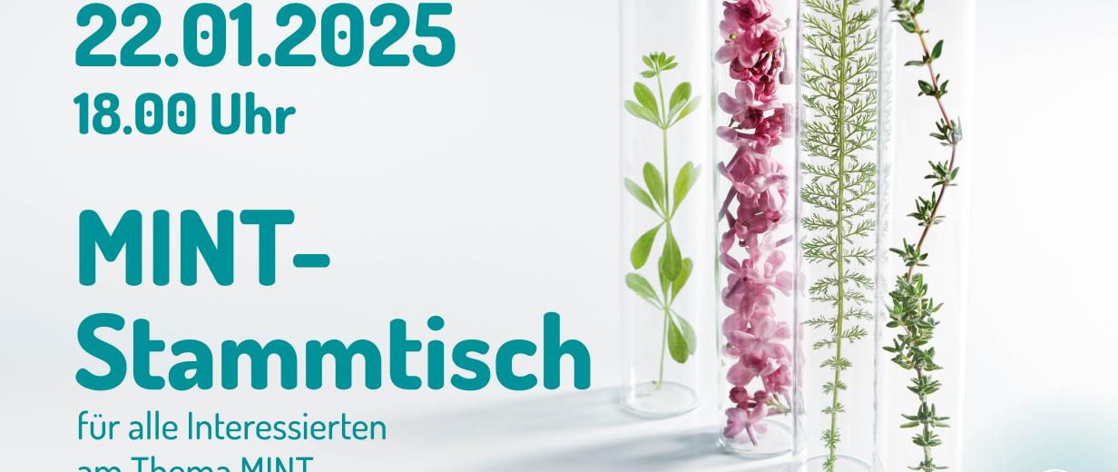 Grafik mit Termin zum MINT-Stammtisch